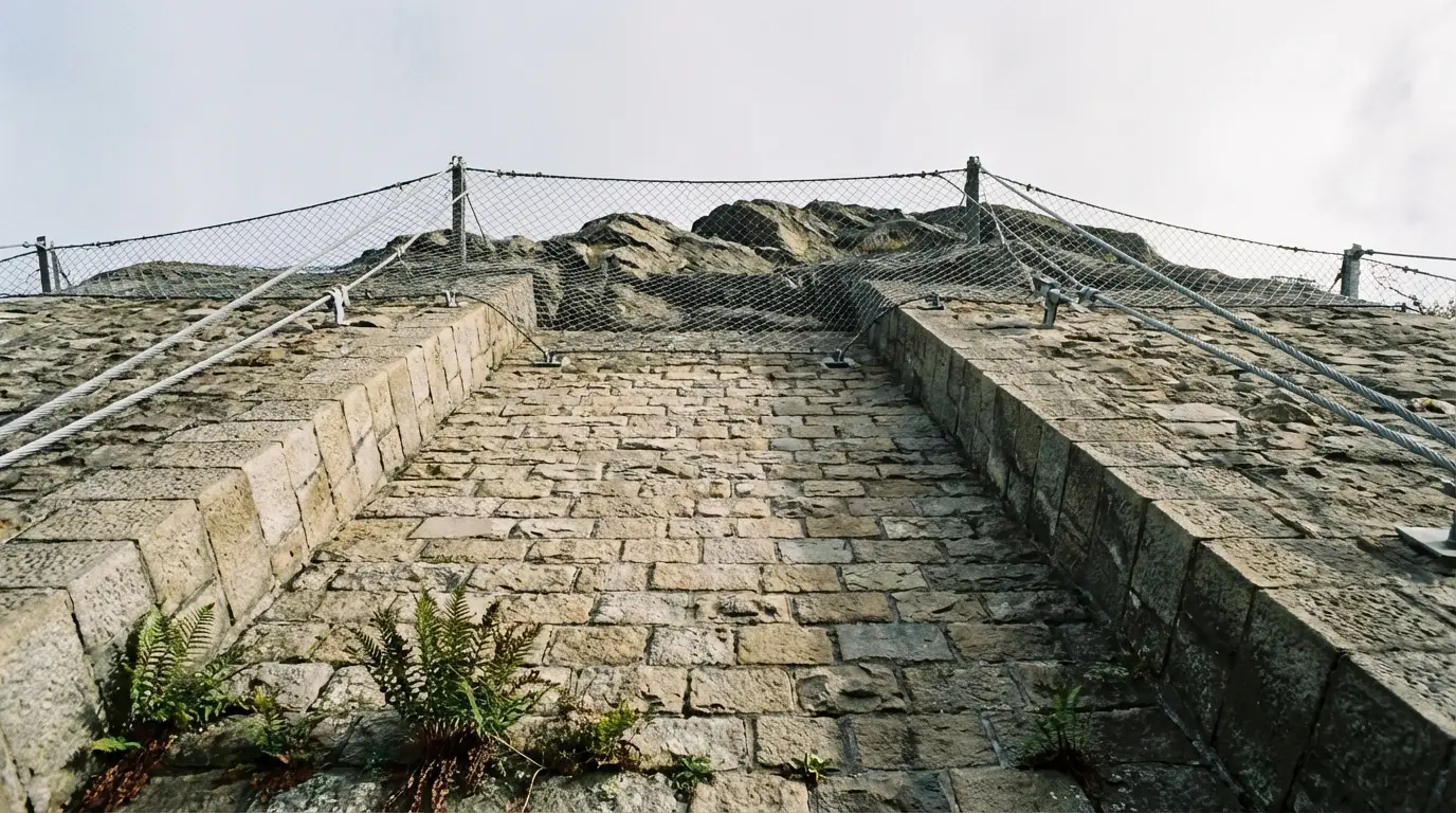 Perspective verticale d'un mur de soutènement équipé de treillis métallique de confortement.
